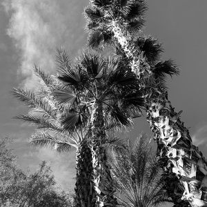 Meet your Posher, Bobbie